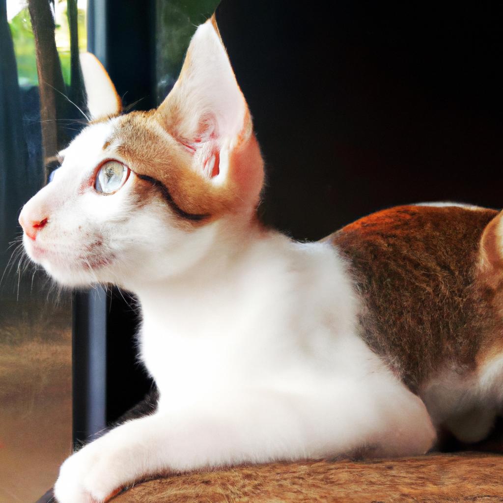 猫好きにはたまらない!